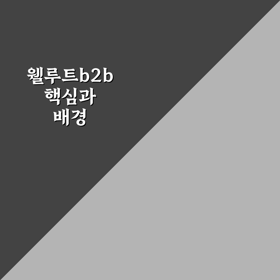 웰루트b2b 비교와 분석을 통한 핵심 체크포인트 총정리