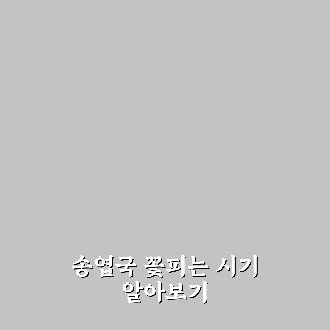 송엽국 꽃피는 시기별 특징 비교와 관찰 체크포인트 총정리