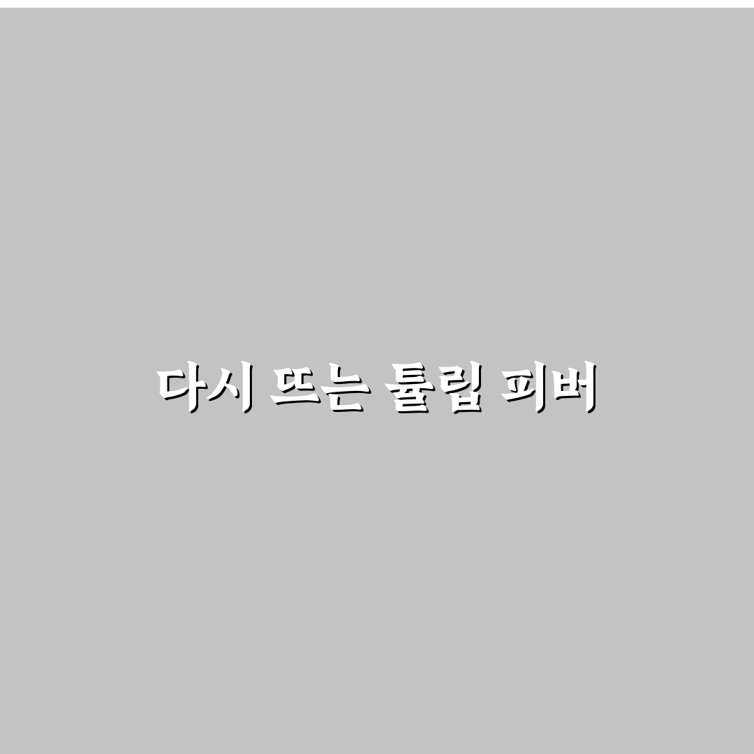 튤립 피버 비교와 분석: 5가지 핵심 기준 총정리