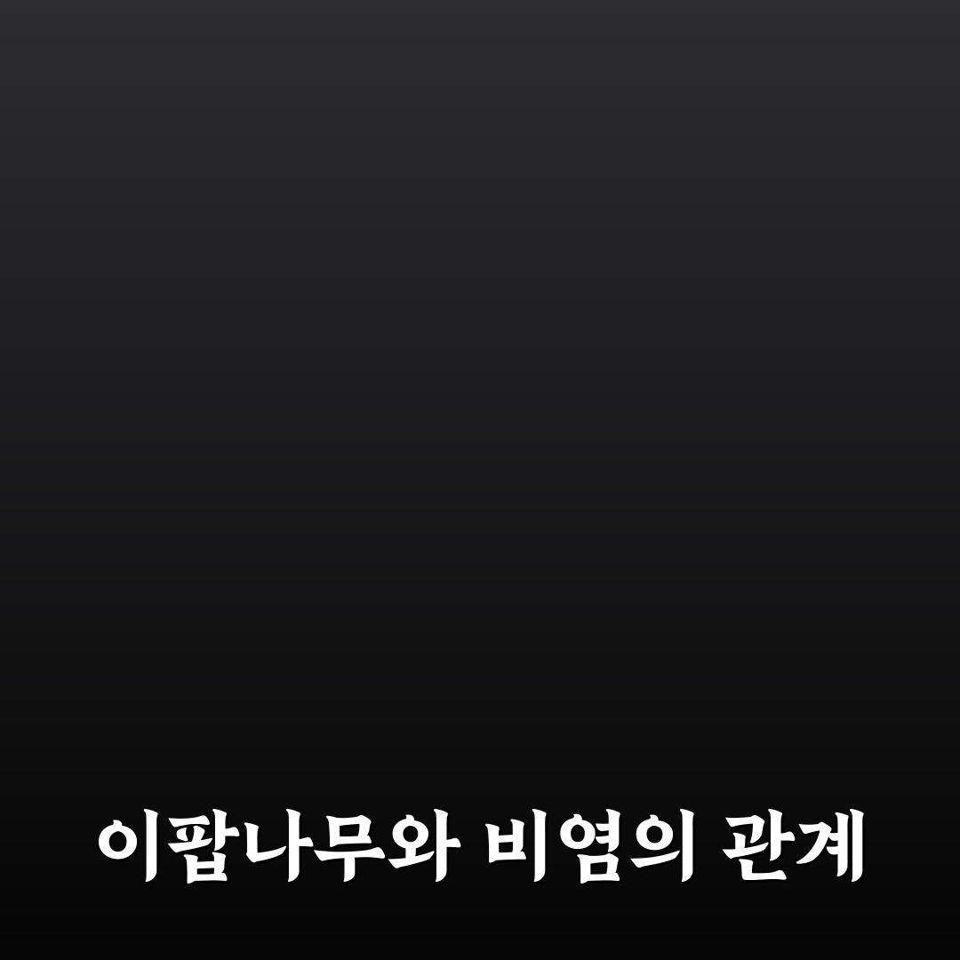 이팝나무 비염 개선 효과 분석과 주요 체크포인트 총정리