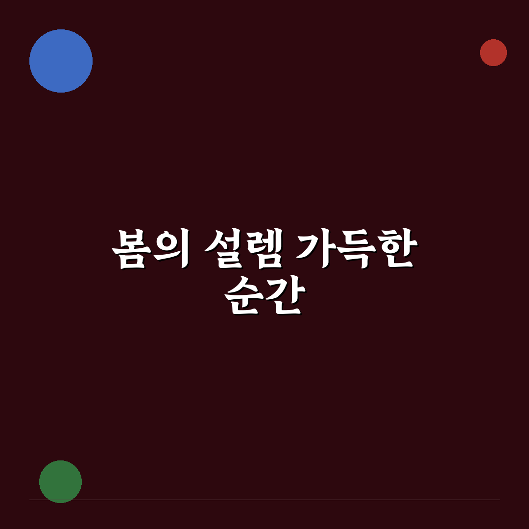 전주 조팝나무 축제 방문 후기, 봄꽃 풍경 직접 보니