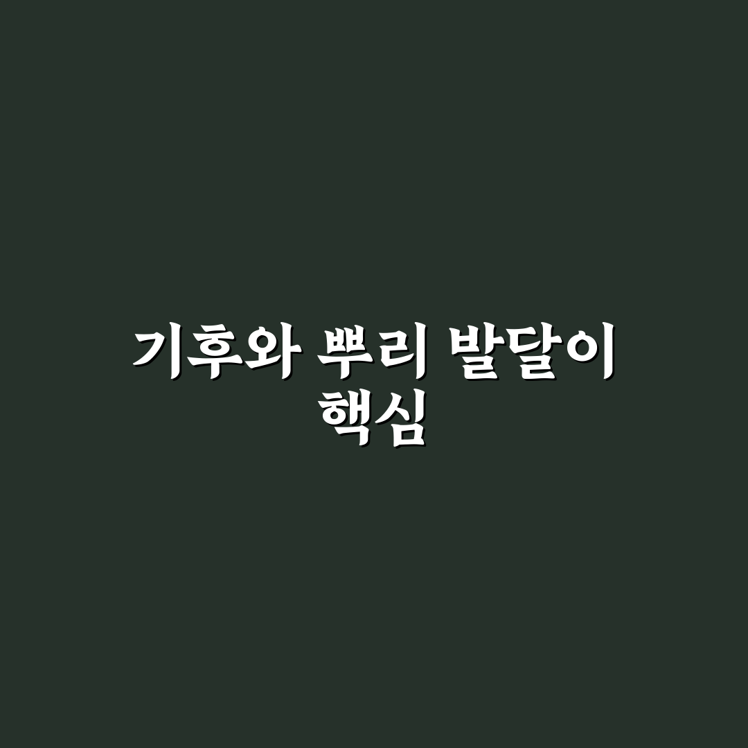 알리움 구근 심는 시기와 최적 환경 비교 분석 총정리