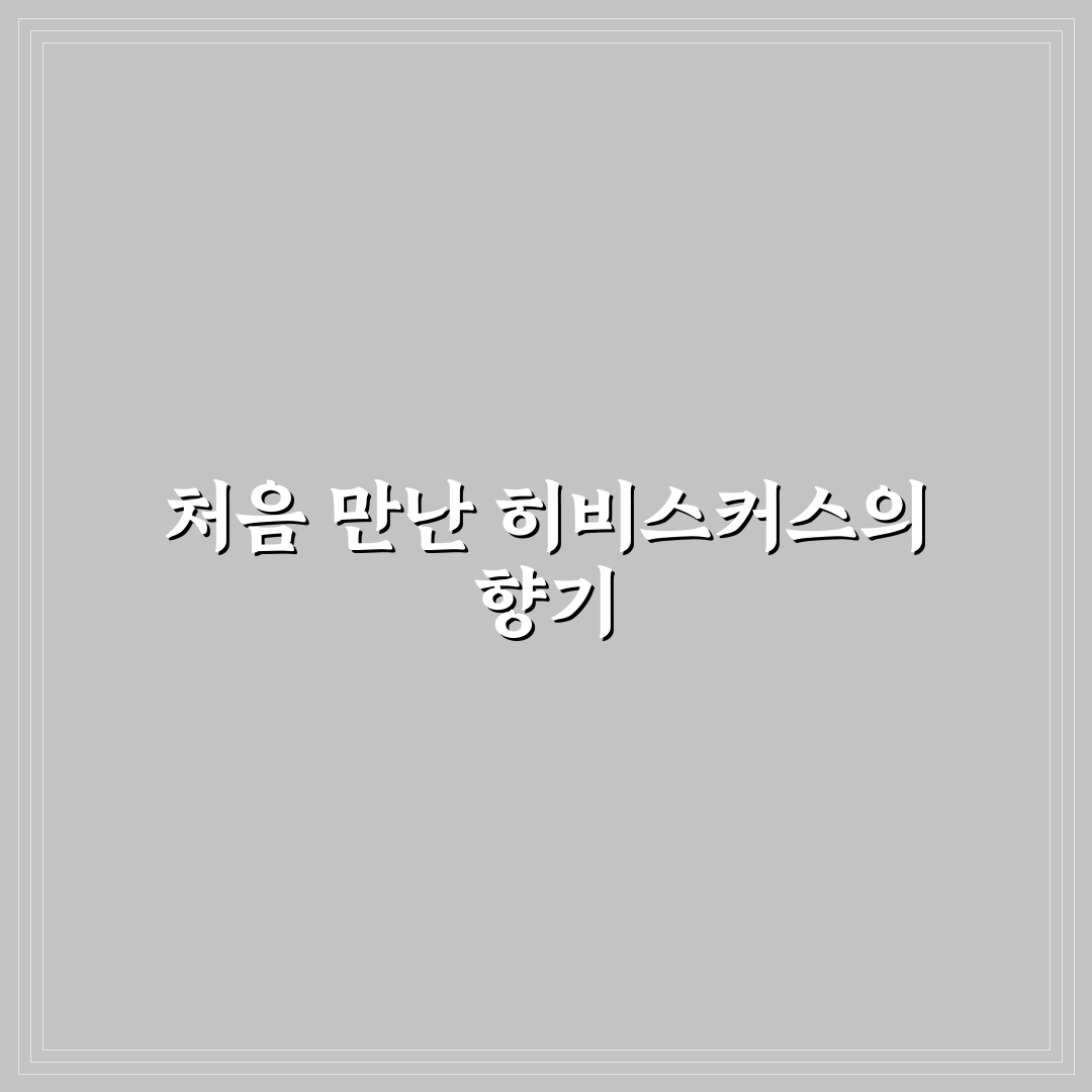 히비스커스 꽃말 직접 알아보니 뜻이 다양하네요