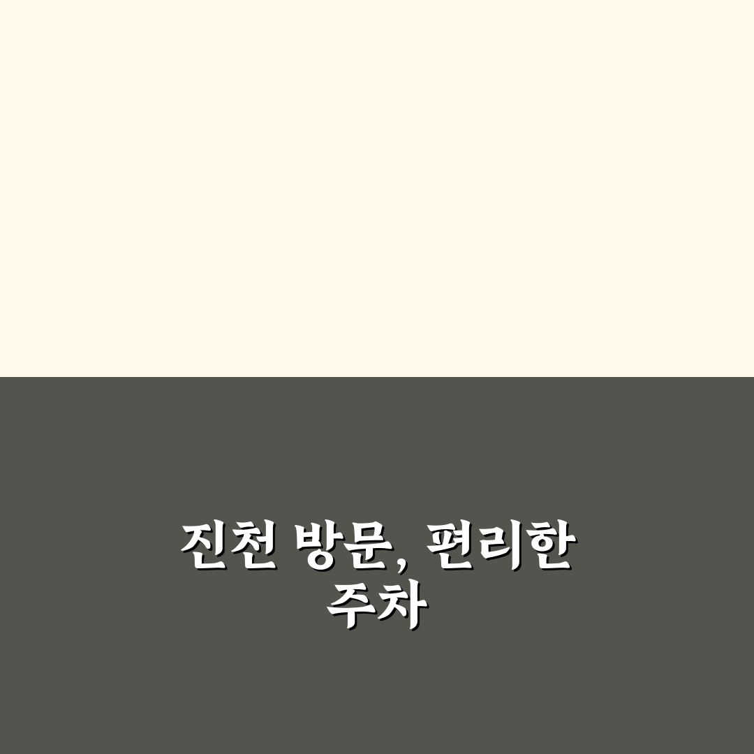 진천 이팝나무길 주차 공간, 직접 가보니 어땠는지
