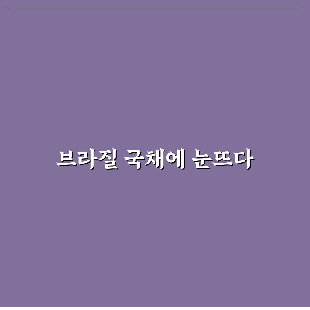 브라질 국채 이자지급일 직접 알아보니 궁금한 점들