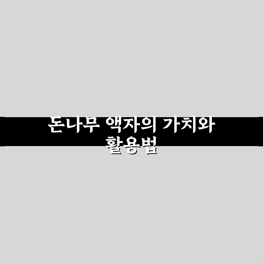 돈나무 액자 활용법과 관리 꿀팁 알려드려요
