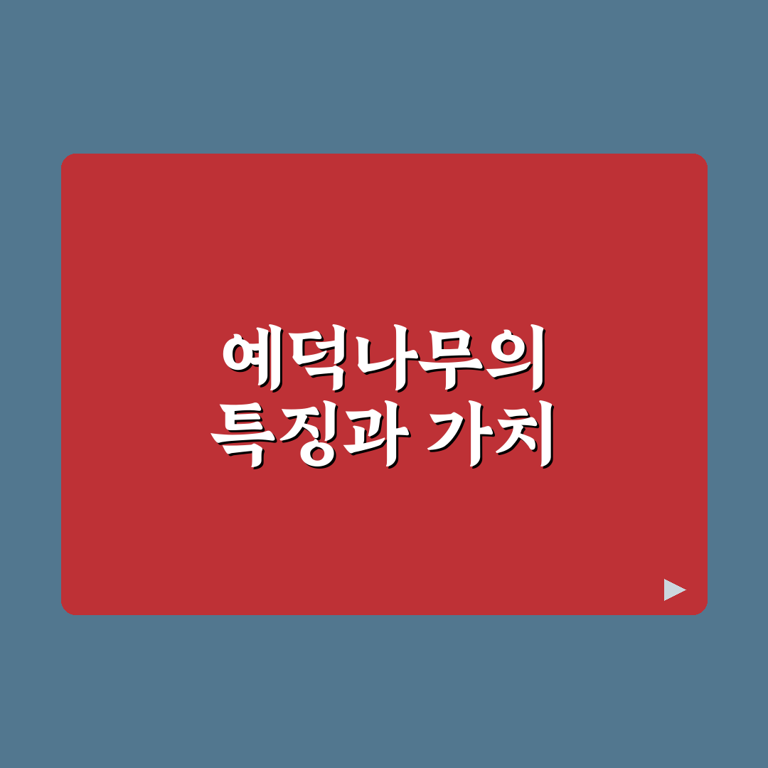 예덕나무 관리 꿀팁과 초보자용 사용법 정리
