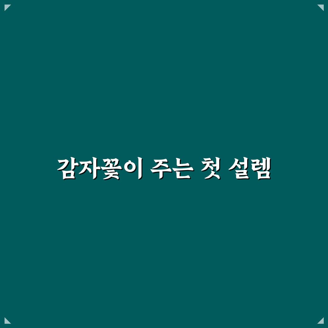 감자꽃 따주기 체험기, 직접 해보니 달라진 풍경