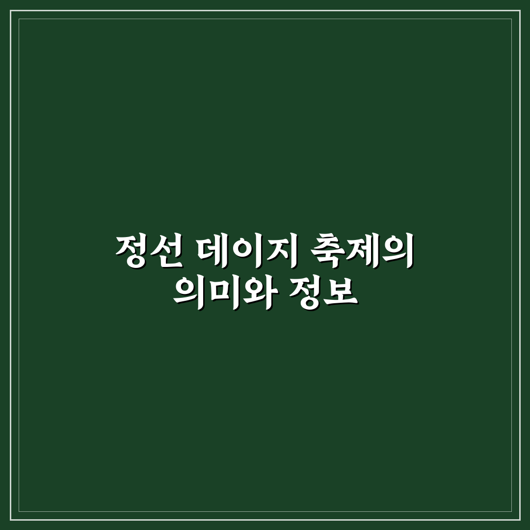 정선 데이지 축제 방문 꿀팁과 즐길 거리 정리