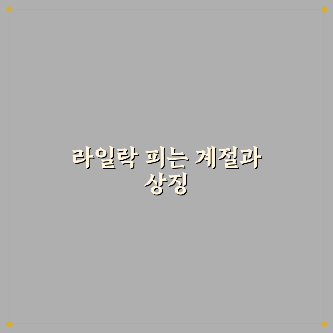 라일락 개화시기 쉽게 알려드려요 정리
