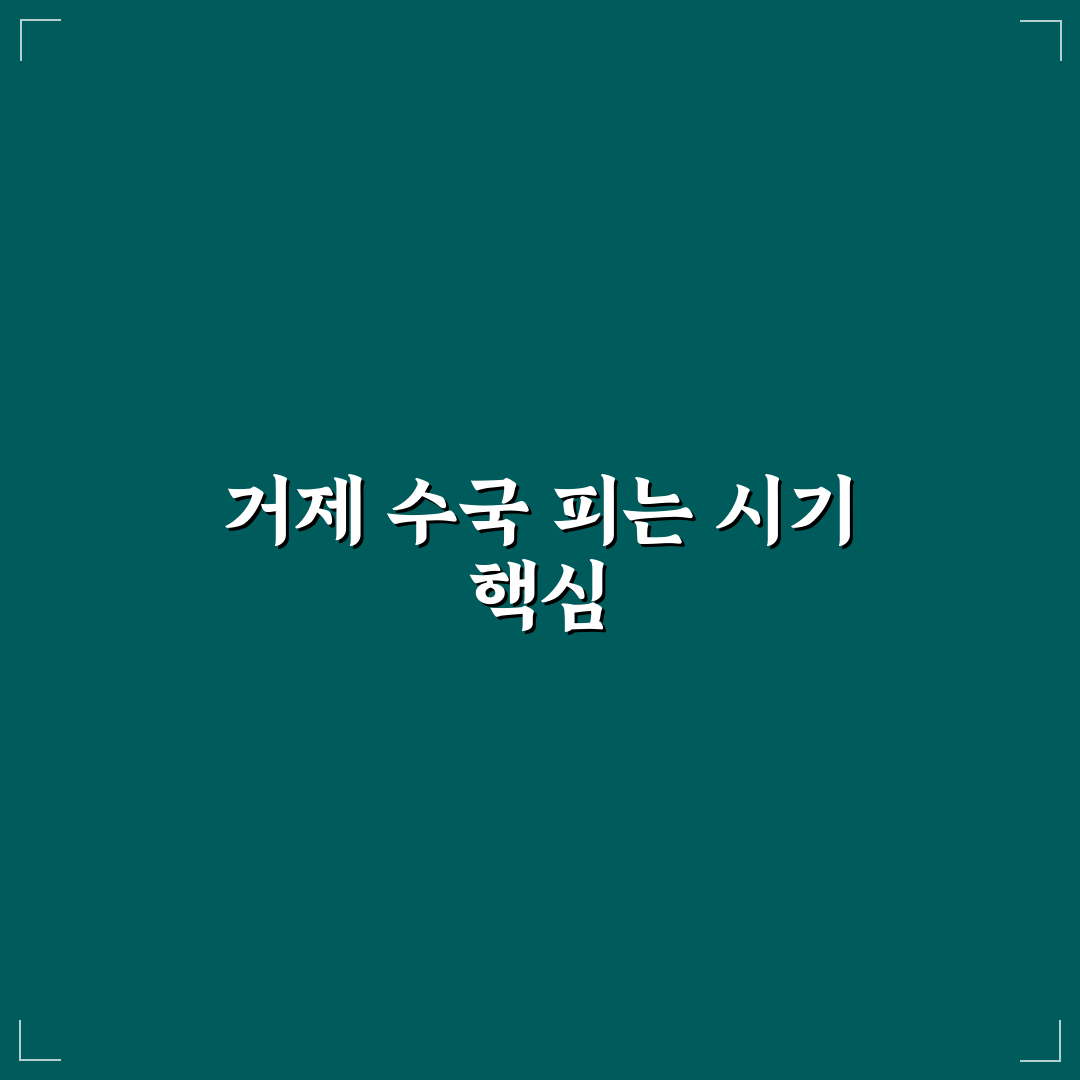 거제 수국 개화 시기와 품종별 특징 비교 분석 가이드