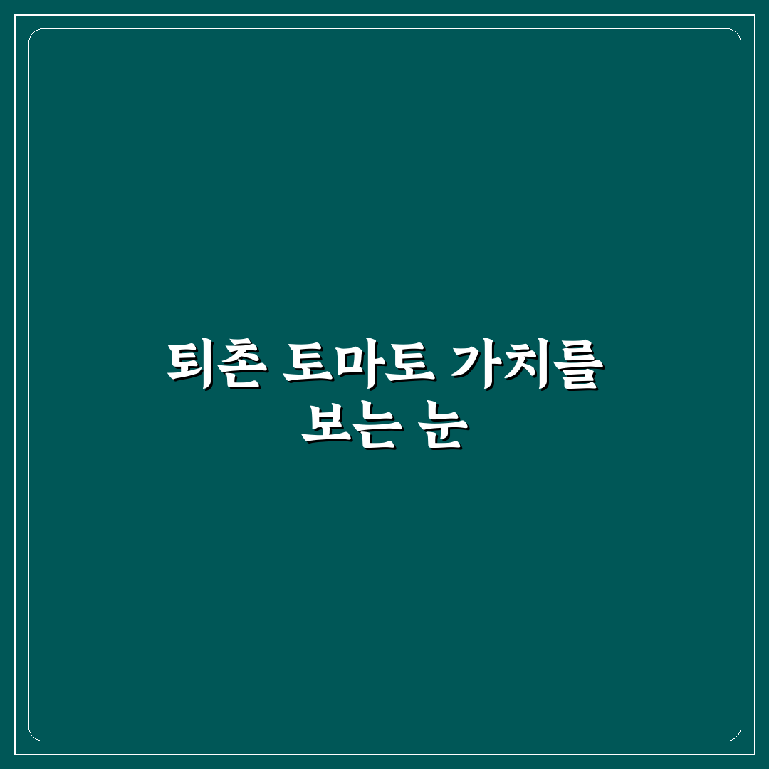 퇴촌 토마토 농장 5가지 품질 비교와 재배 기준 총정리