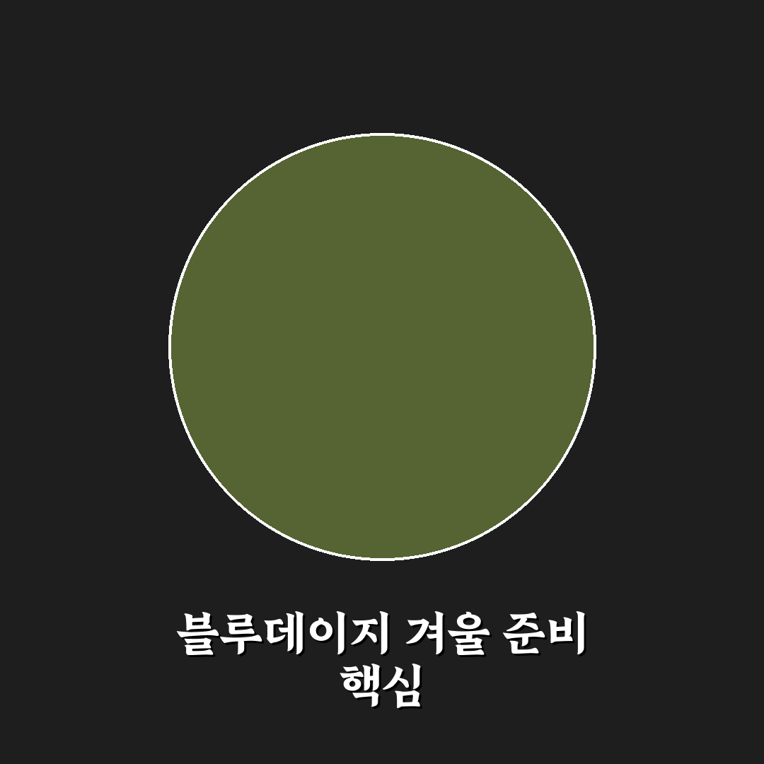 블루데이지 월동 방법과 관리 꿀팁 알려드려요