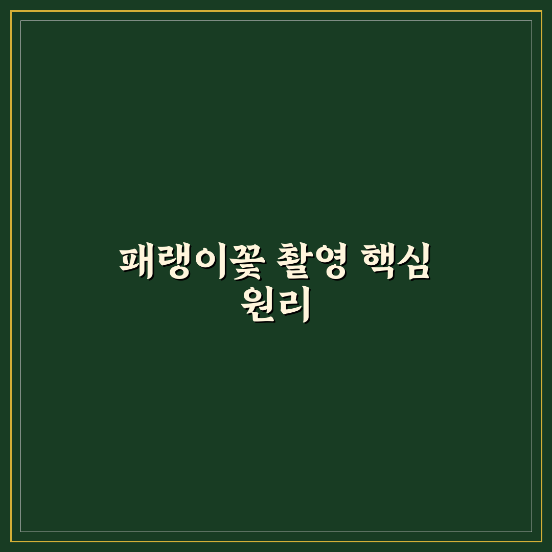 패랭이꽃 포토 촬영 꿀팁과 활용법 정리