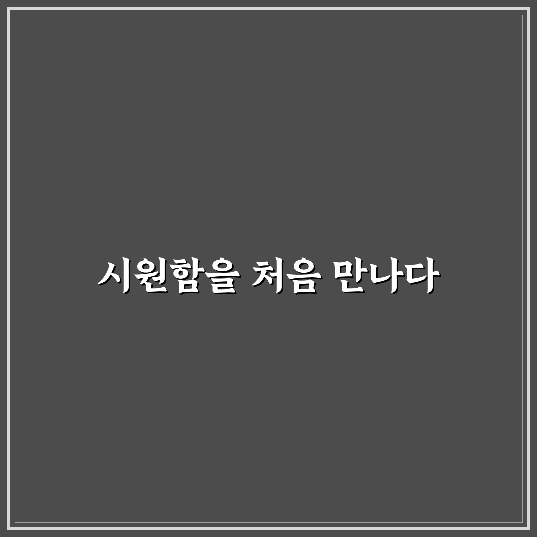 폴레드 통풍시트 세탁 사용 후기, 관리법과 아쉬운 점