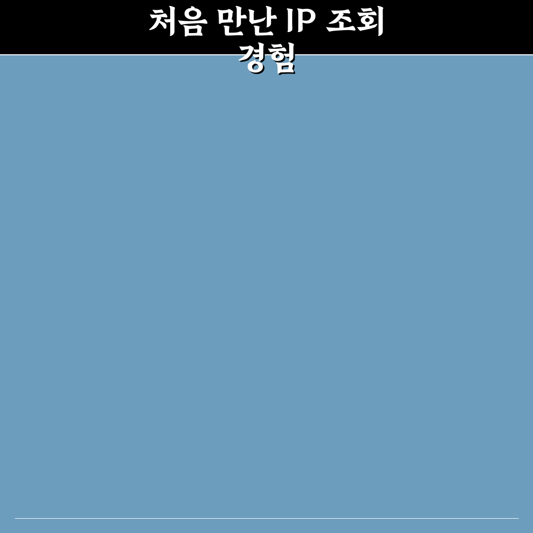 아이피 주소 조회 직접 이용해보니 정확도와 한계점
