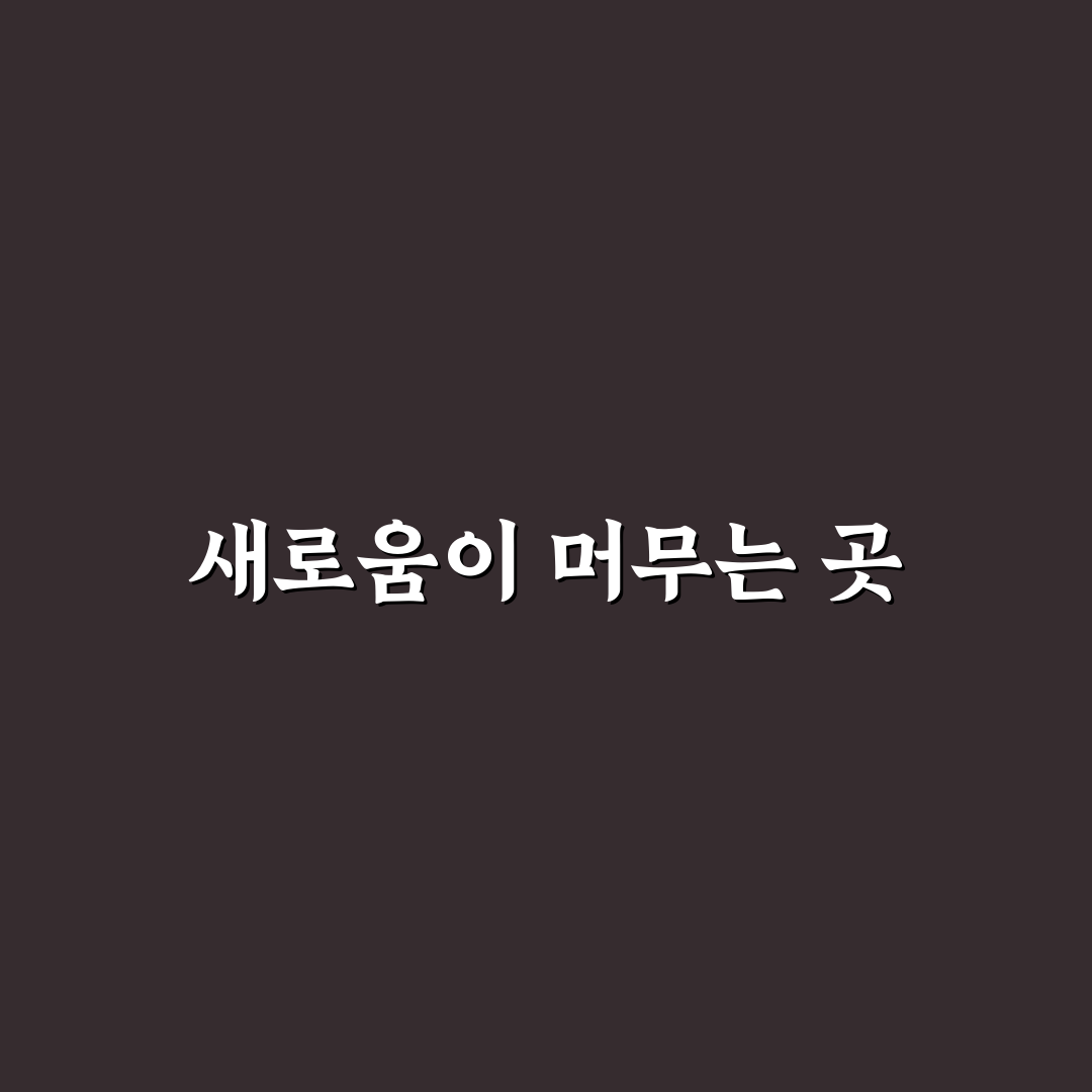 김해 두더지라운지 방문 후기, 직접 가보니 분위기와 맛은?