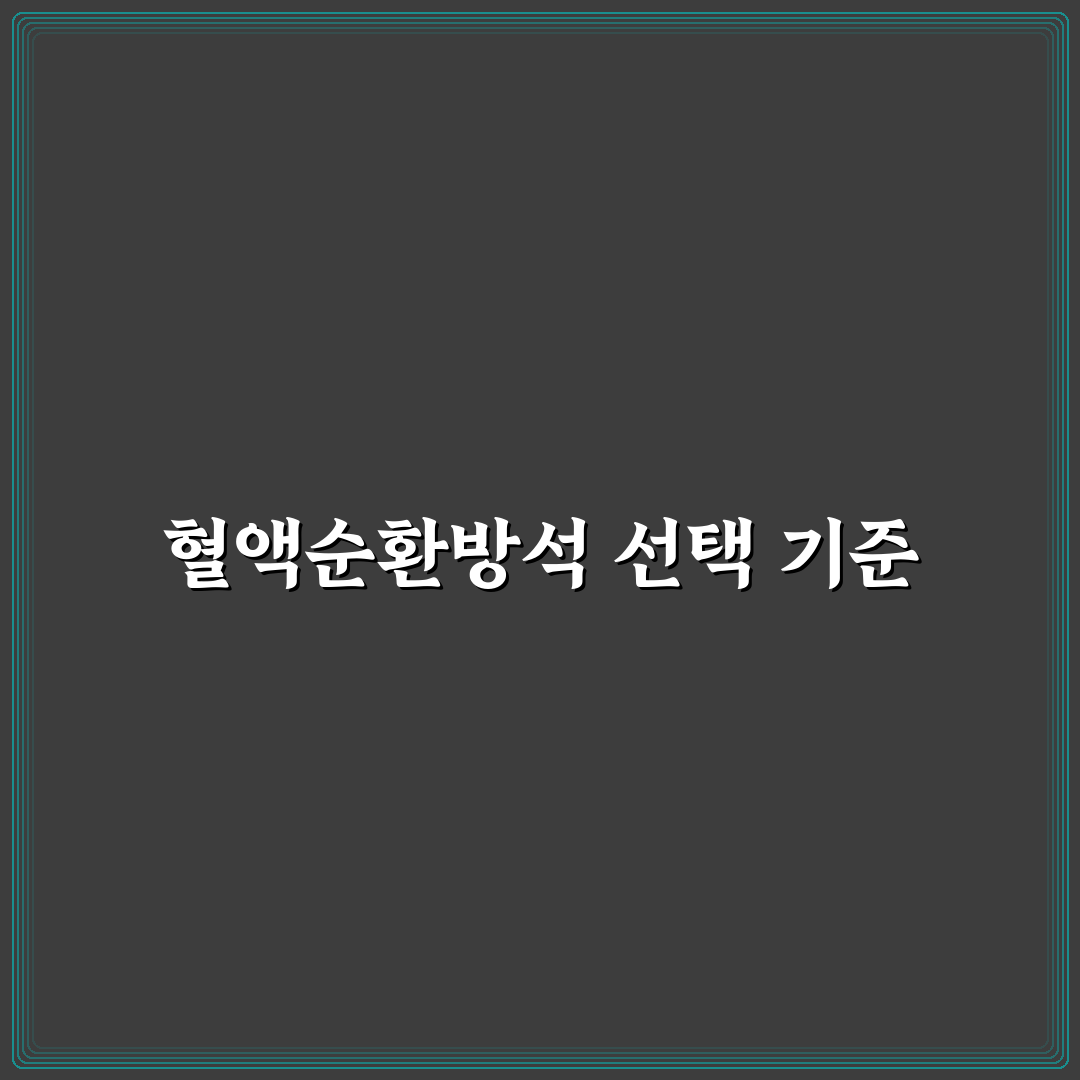 지압혈액순환방석 선택 기준과 효과 분석 가이드