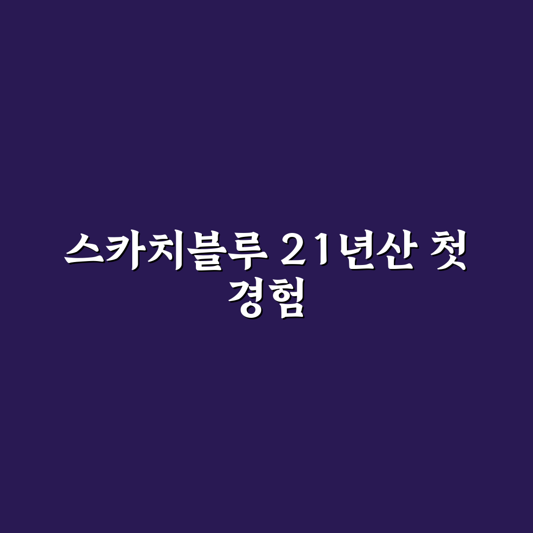 스카치블루 21년산 가격 직접 알아보니 현실적인 수준