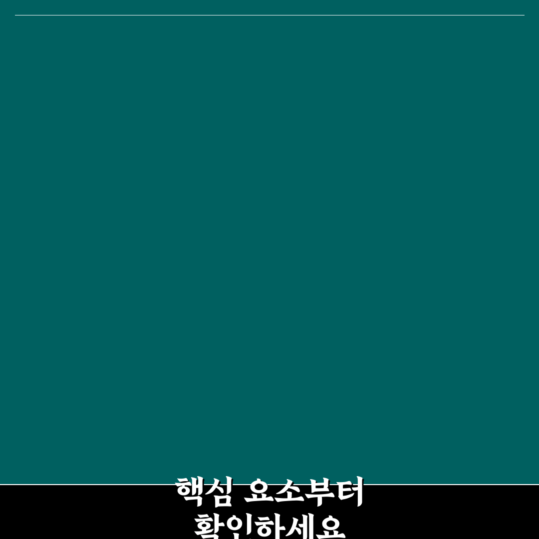 라포레 윙플라 5가지 비교 기준과 선택 가이드