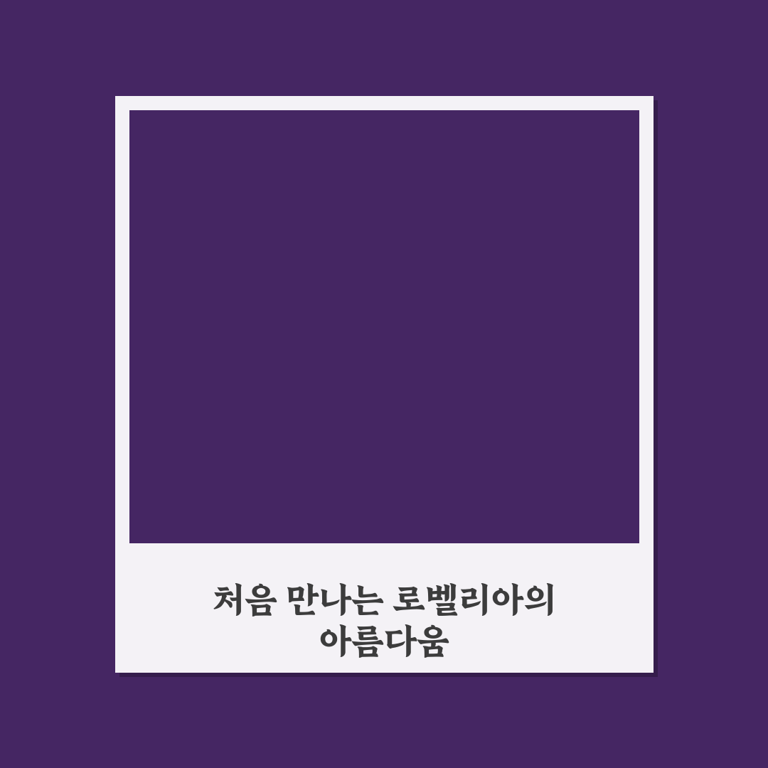 로벨리아 월동 직접 해보니 관리 난이도와 변화된 모습