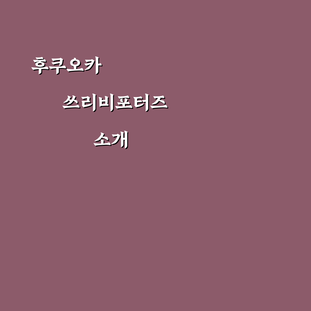 후쿠오카 쓰리비포터즈 활용 꿀팁과 여행 정보 공유