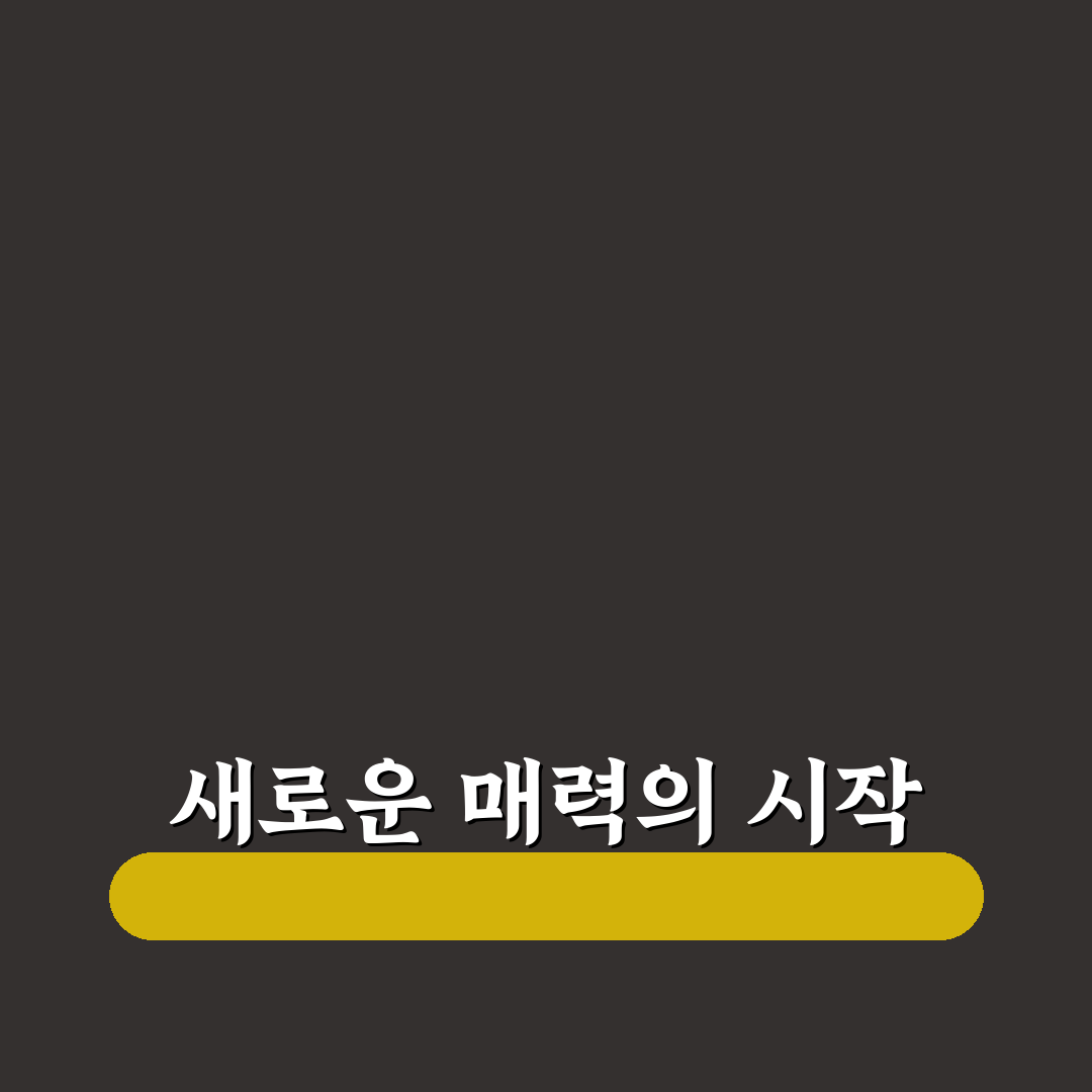 섬마을차차차 방문 후기, 실제 가보니 느낀 점