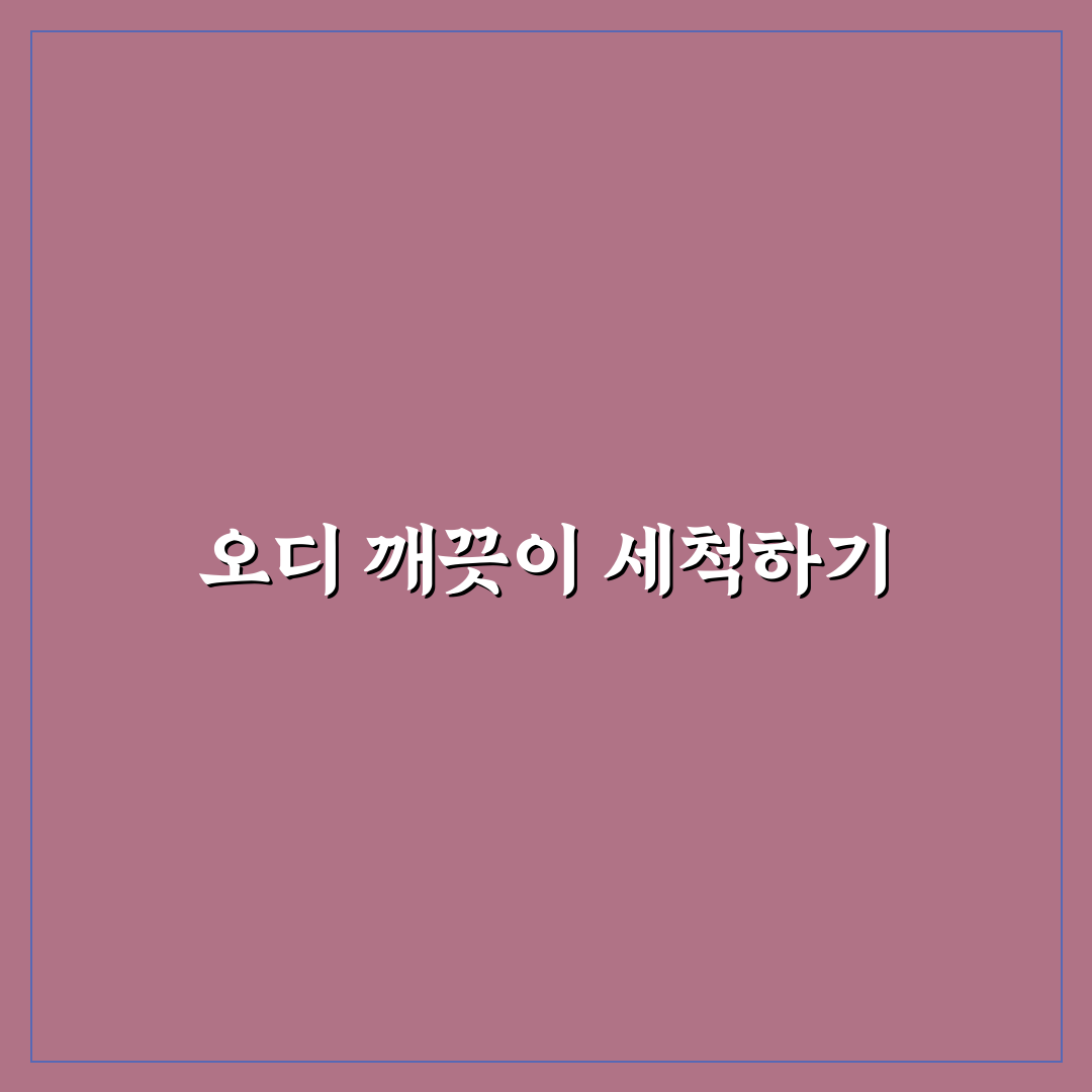 오디 세척법과 꿀팁 초보자도 쉽게 따라하는 방법