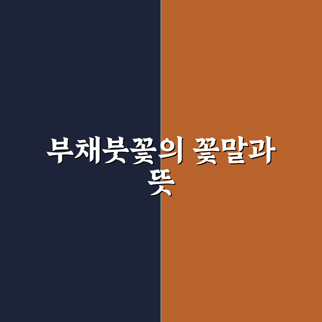 부채붓꽃 꽃말과 의미 쉽게 알려드려요