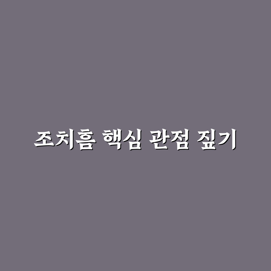 조치흠 비교와 분석을 통한 핵심 체크포인트 총정리