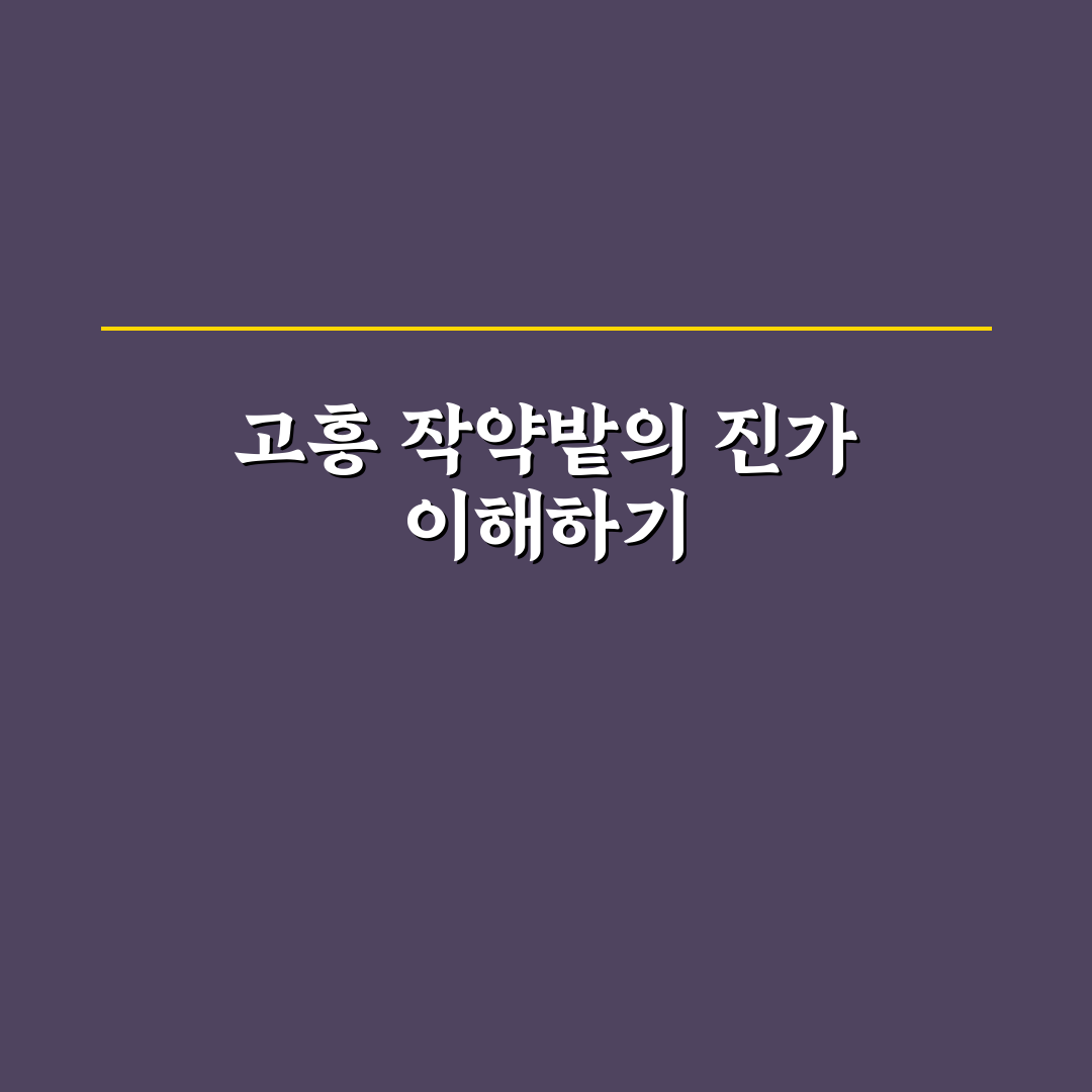 고흥 작약밭 방문 전 알아야 할 5가지 체크포인트