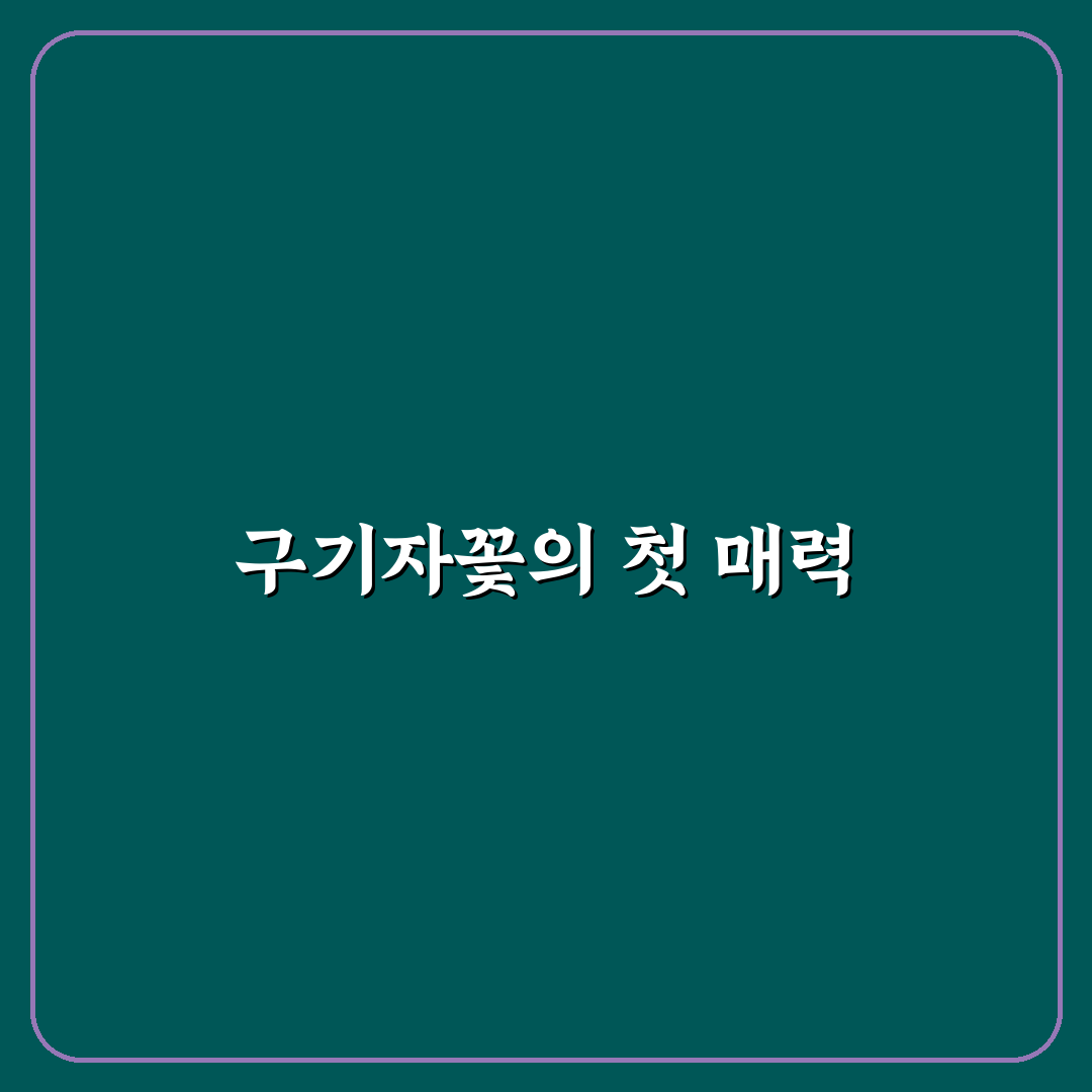 구기자꽃피는시기 직접 알아보니 계절별 변화가 궁금해졌어요