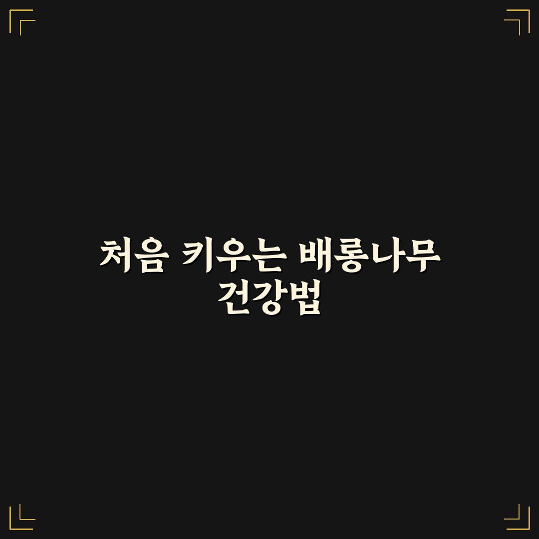 배롱나무 그을음병 직접 알아보니 관리가 어렵네요