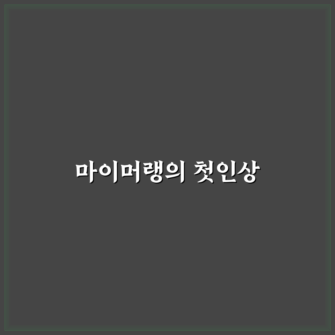 마이머랭 게릴라 방문 후기, 직접 가보니 어땠는지