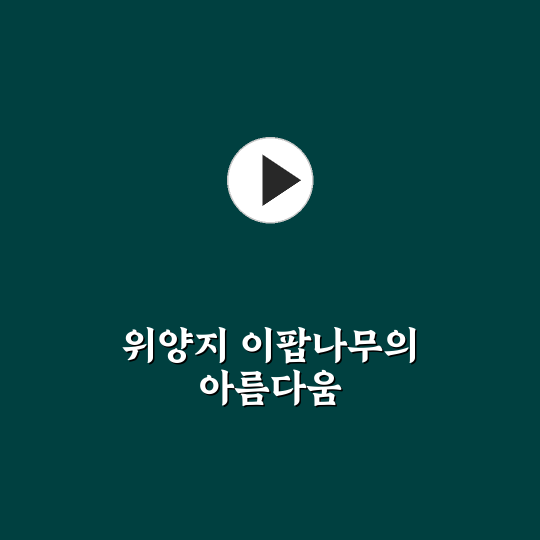 위양지 이팝나무 성장과 관리 꿀팁 정리