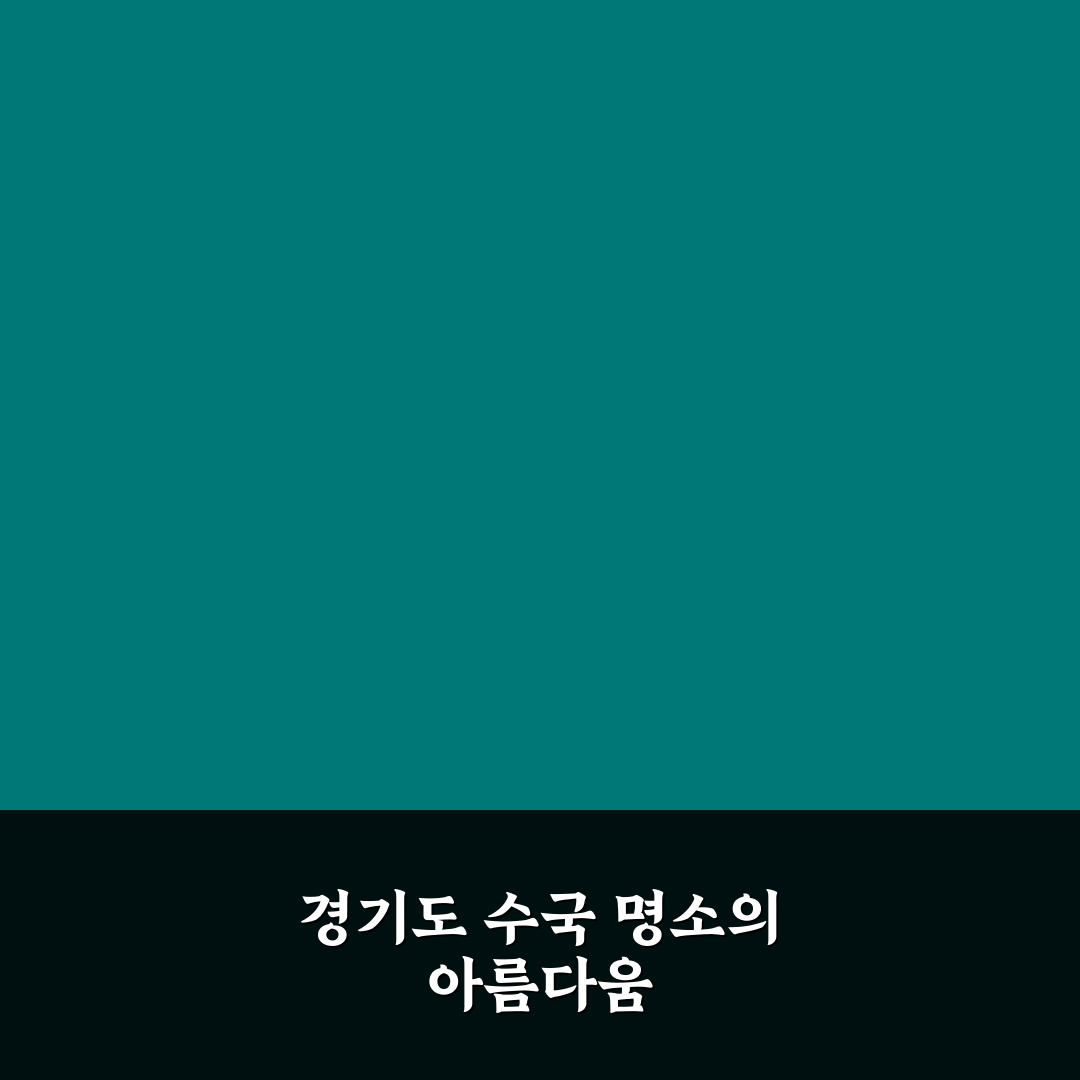 경기도 수국 명소 추천과 방문 꿀팁 알려드려요