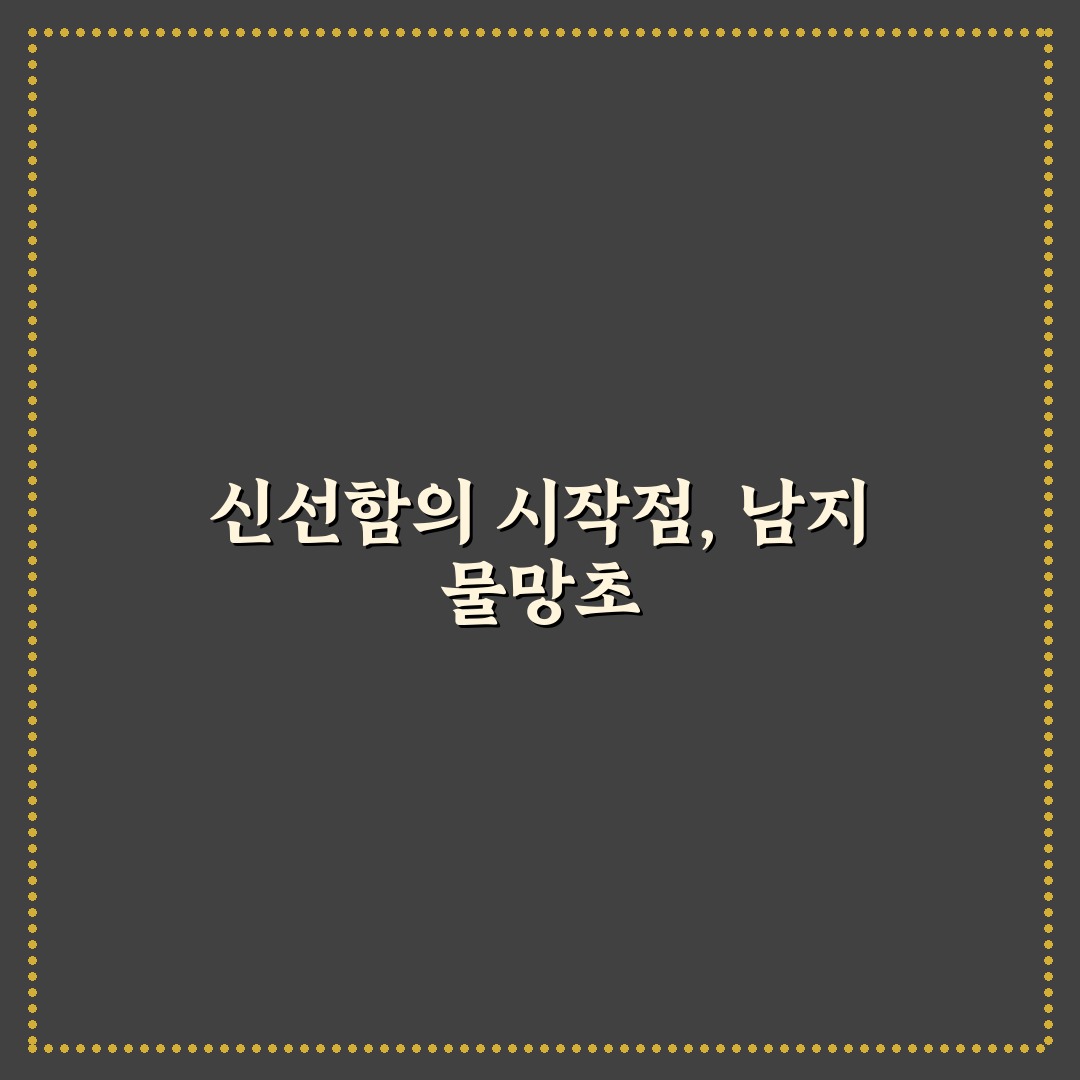 남지 물망초횟집 서비스와 메뉴 품질 5가지 기준 비교 분석