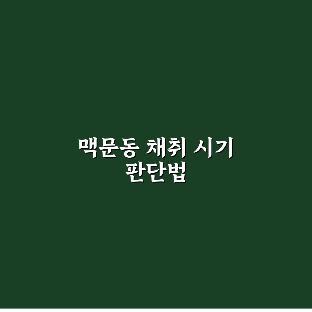 맥문동캐는시기 판단을 위한 5가지 체크포인트 분석