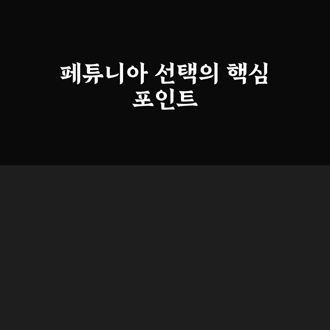 페튜니아 모종 선택 가이드와 생육 환경 분석