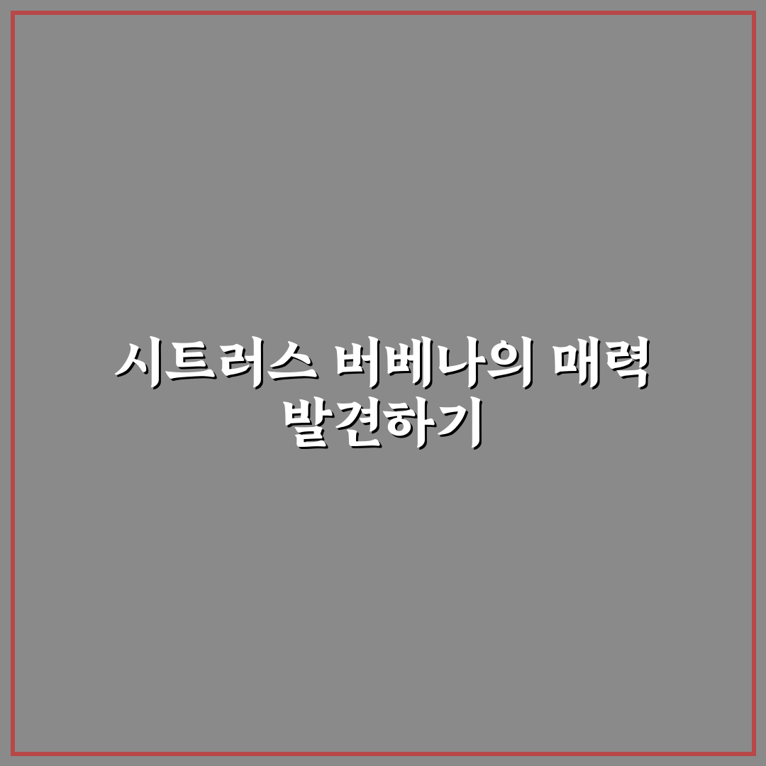 다우니 시트러스 버베나 성능과 향기 5가지 기준 비교 분석