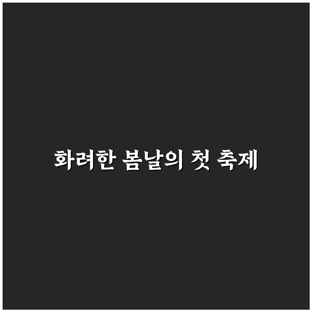 샤스타 데이지 축제 방문 후기, 직접 가보니 봄기운 가득해요