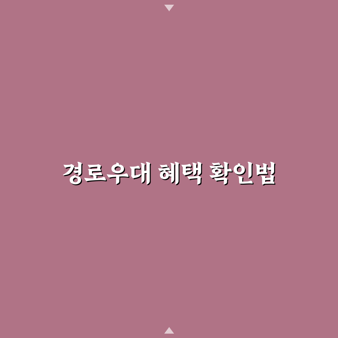 베어트리파크 경로우대 적용 기준과 혜택 분석 가이드