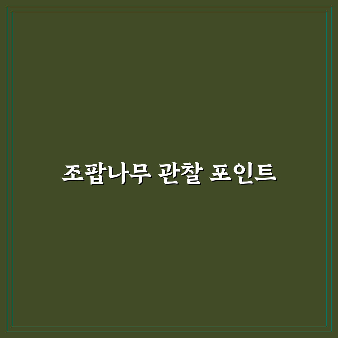 조팝나무 포토 촬영 가이드와 핵심 체크포인트 5가지