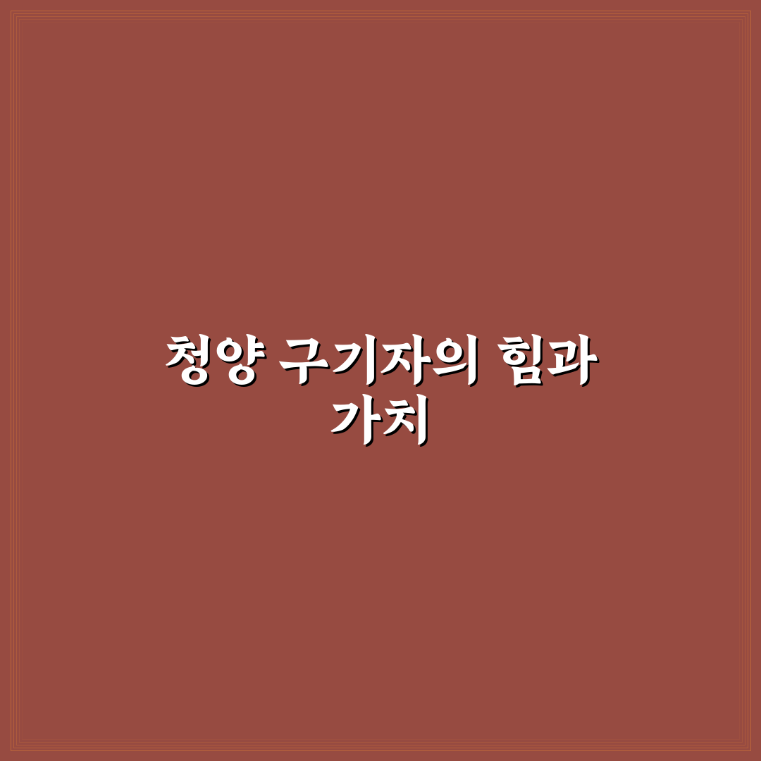 청양 구기자 발효농축분말 효과와 품질 비교 분석 기준 5가지