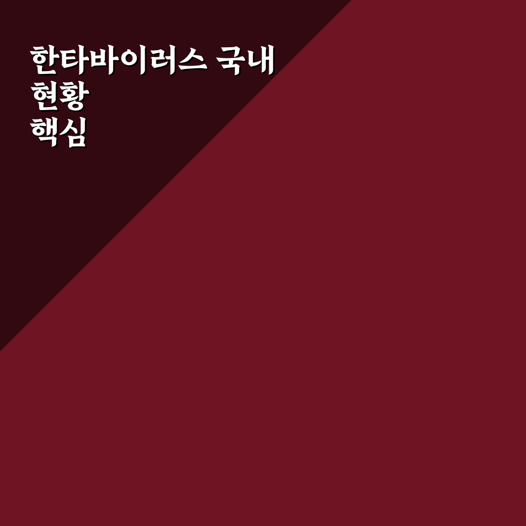 한타바이러스 국내 발생 현황과 예방 가이드 총정리