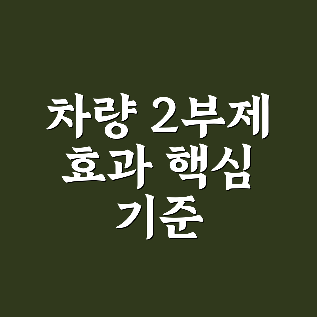 차량 2부제 유아동승 정책 비교와 적용 기준 총정리