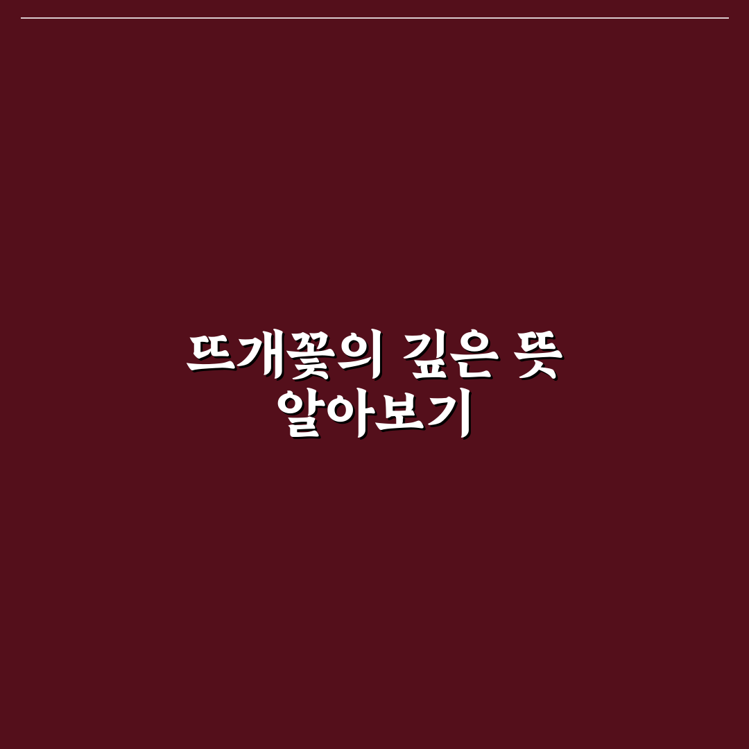 어버이날 뜨개꽃 선택 가이드와 선물 비교 분석