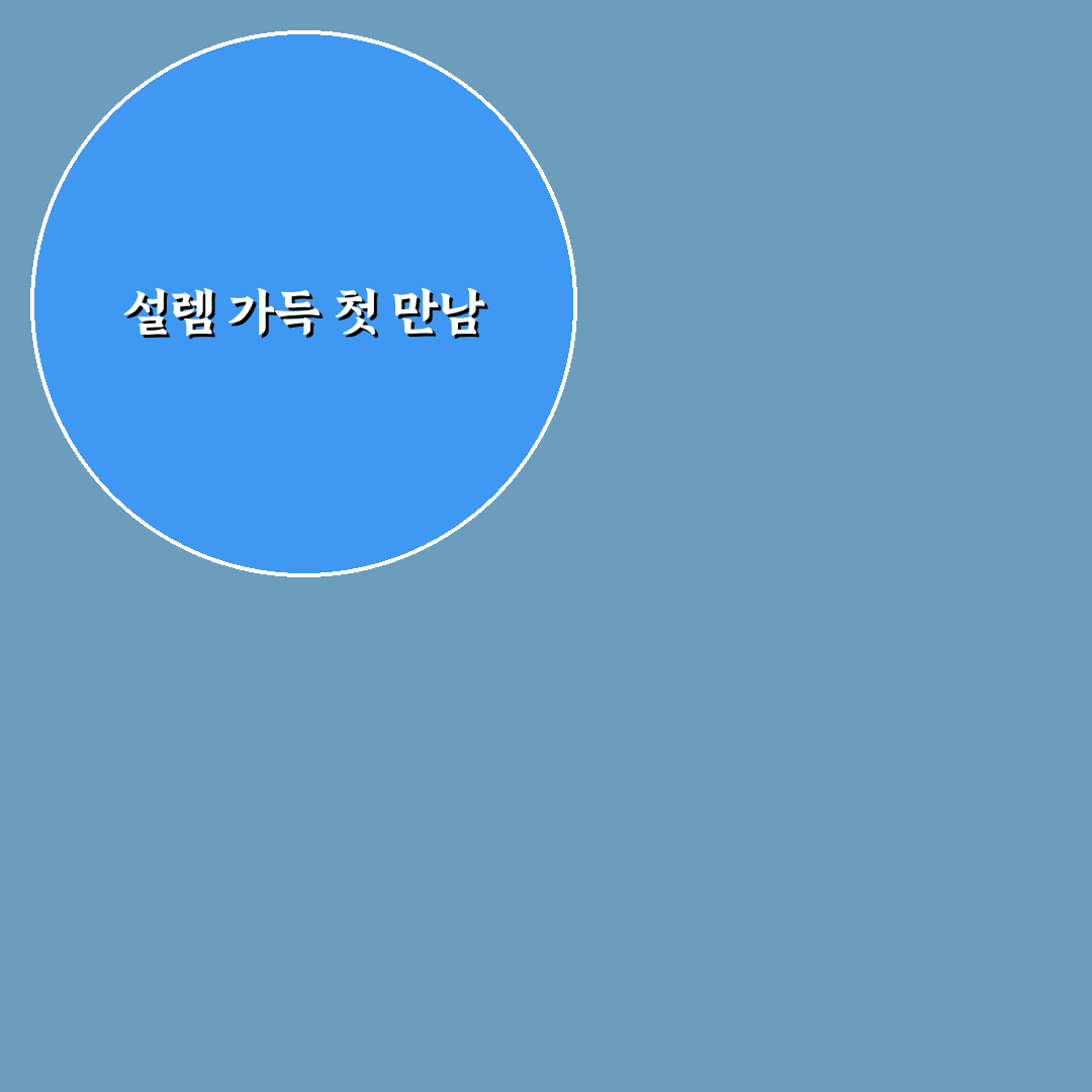 튤립 피버 체험기, 직접 가보니 분위기가 어땠는지