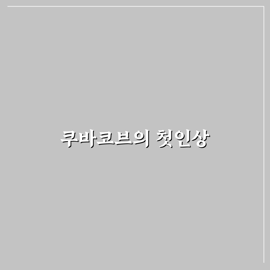 쿠바코브 방문 후기, 직접 가보니 분위기와 맛은 어땠나