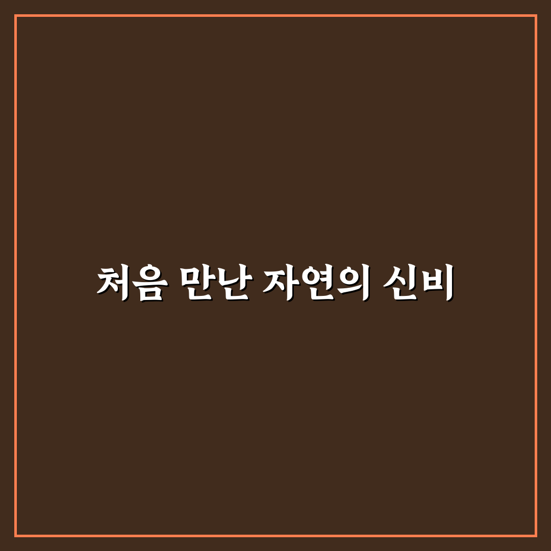 케라시스 프로폴리스 샴푸 사용 후기, 직접 써보니 느낀 점